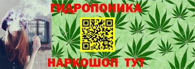 крисы Пушкино