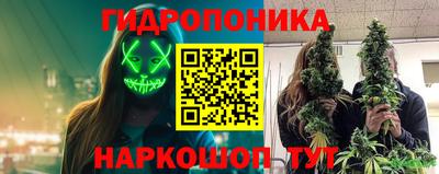 2c-b Пугачёв