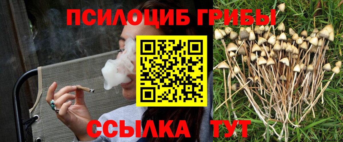 Галлюциногенные грибы Cubensis  Вход с VPN  Реж  Псилоцибиновые грибы GOLDEN TEACHER 