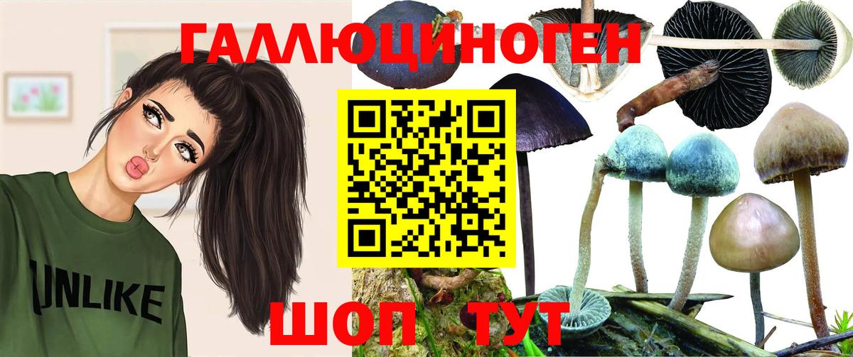 Псилоцибиновые грибы Psilocybine cubensis Реж