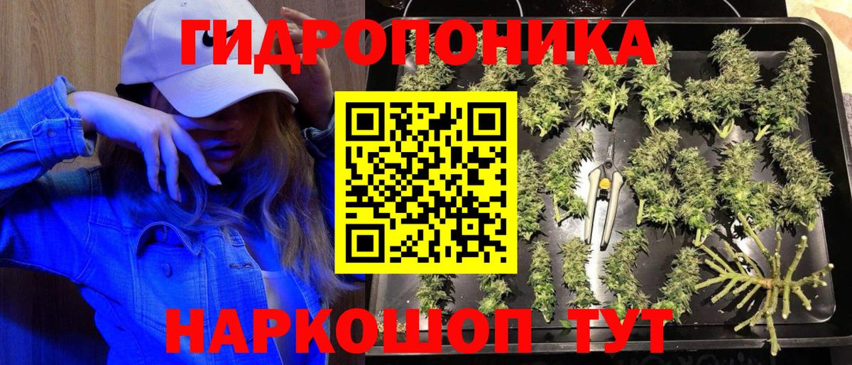 Канабис SATIVA & INDICA  Бошки марихуана конопля  Вход с VPN  Реж  Шишки марихуана THC 21% 